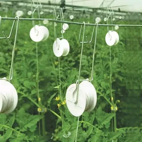 tomato grafting clips